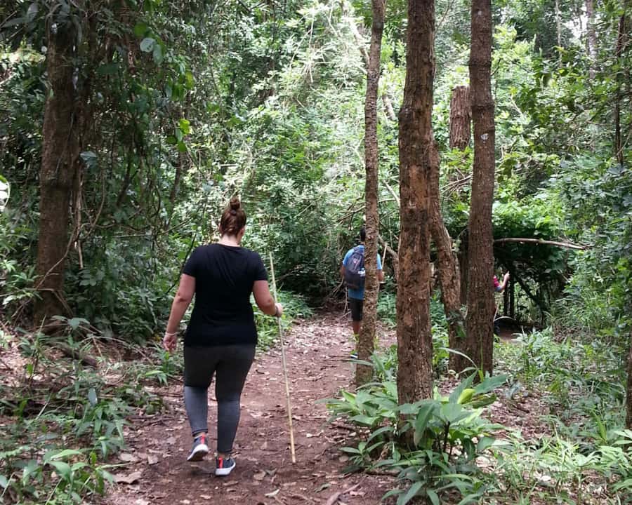 From Chiang Mai: Doi Inthanon National Park Day Trip & Hike - Price, group size, and the air-conditioned van reality check