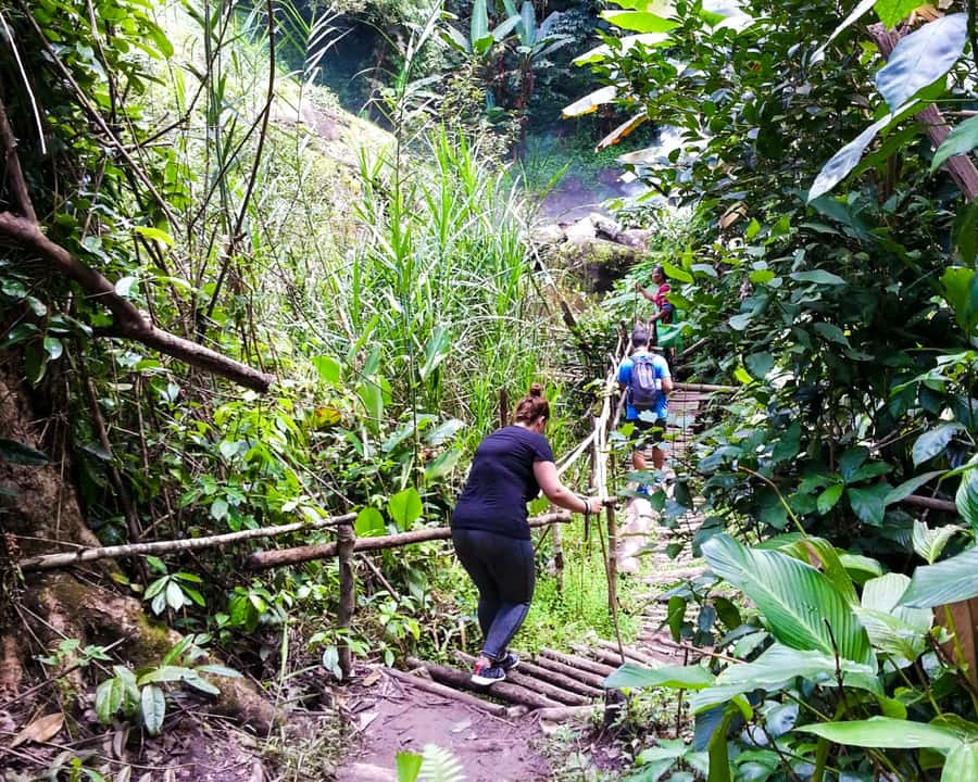 From Chiang Mai: Doi Inthanon National Park Day Trip & Hike - Who should book this Doi Inthanon day trip (and who should skip it)