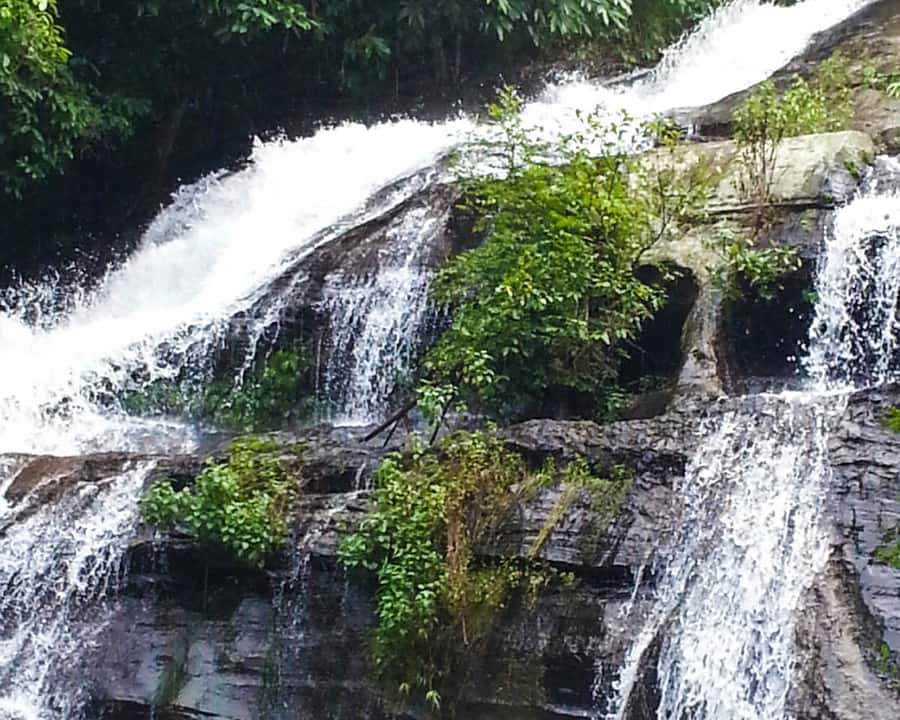 From Chiang Mai: Doi Inthanon National Park Day Trip & Hike - What to bring so the day feels easy