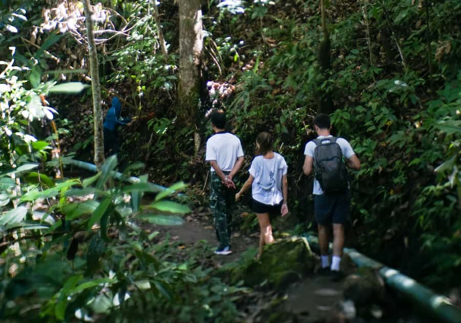 From Chiang Mai: Doi Inthanon National Park Day Trip & Hike - Should you book this Doi Inthanon day trip?