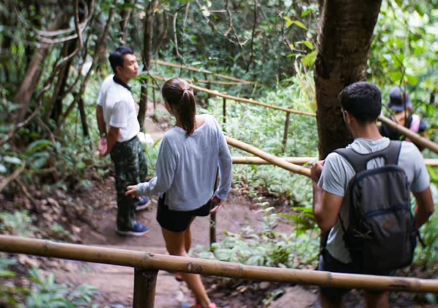From Chiang Mai: Doi Inthanon National Park Day Trip & Hike - Twin Pagodas and the Hmong market: culture with just enough time