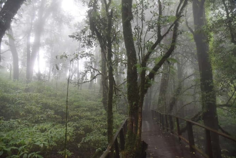 From Chiang Mai: Doi Inthanon National Park Day Trip - Morning start: getting out before the day heats up