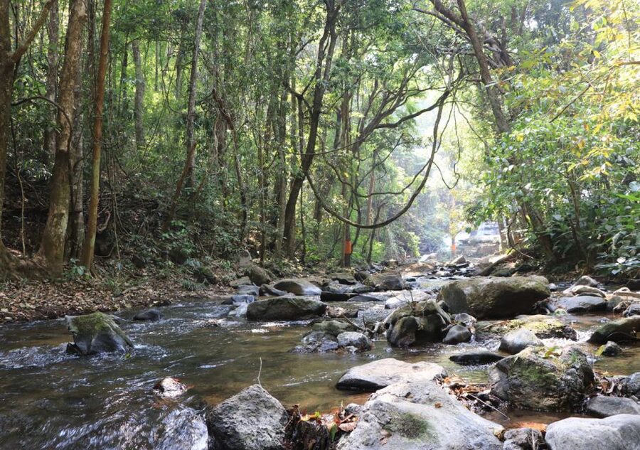 From Chiang Mai: Doi Inthanon National Park Hiking Tour - Getting There From Chiang Mai: Pickup, Van Ride, and Pace