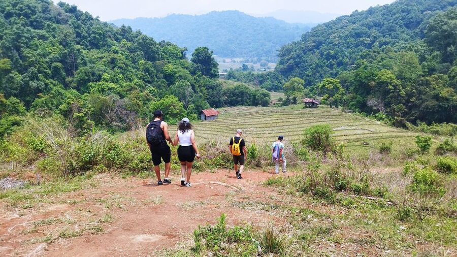 From Chiang Mai: Doi Inthanon National Park Hiking Tour - The Main Hike: 4km Through Forest, Pine Restoration, and Farmland