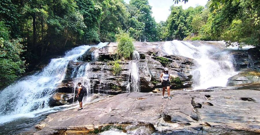 From Chiang Mai: Doi Inthanon National Park Hiking Tour - Wildlife and Nature-Spotting: Snakes, Lizards, and Gibbon Chances