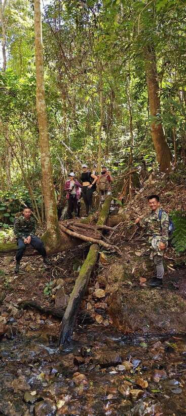 From Chiang Mai: Doi Saket Hiking Tour with Lunch - Is $57 a good deal for a full jungle day with pickup and lunch?