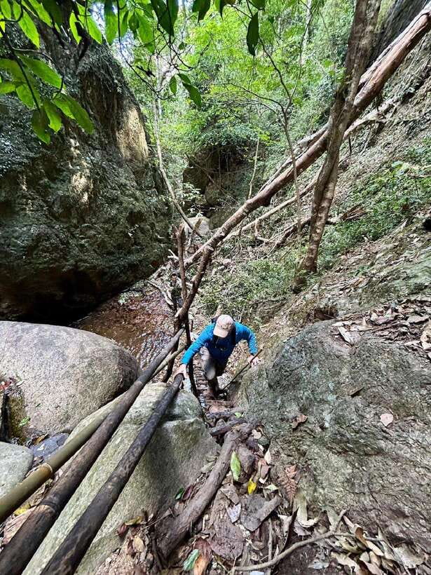 From Chiang Mai: Doi Saket Hiking Tour with Lunch - River Crossings and Wooden Bridges: where the route tests your balance