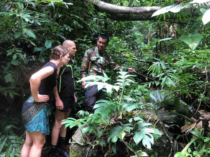 From Chiang Mai: Doi Saket Hiking Tour with Lunch - 5 Hours of Jungle Trekking: steady footing, bamboo, and wildlife sounds