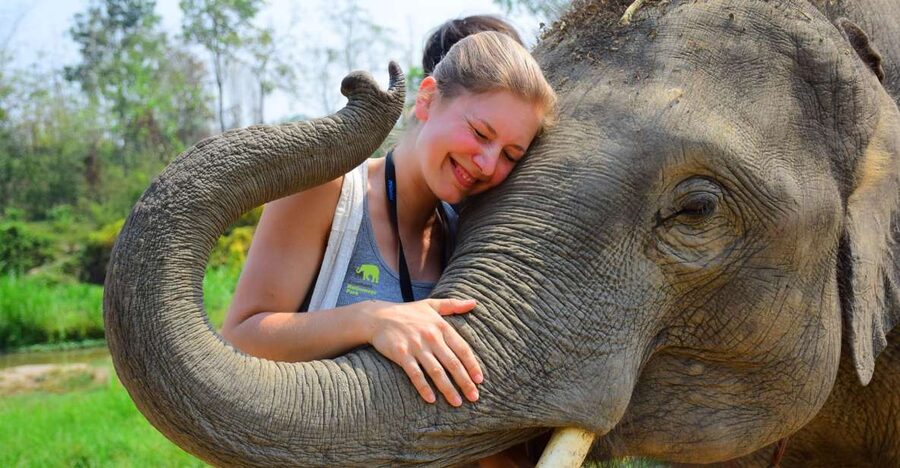 From Chiang Mai: Elephant Care Program and Nursery Tour - Why This Chiang Mai Elephant Program Feels Different