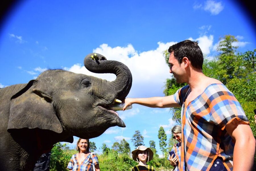 From Chiang Mai: Elephant Care Program and Nursery Tour - Getting to Mae Tang: Pickup, Local Clothes, and Time You Actually Use
