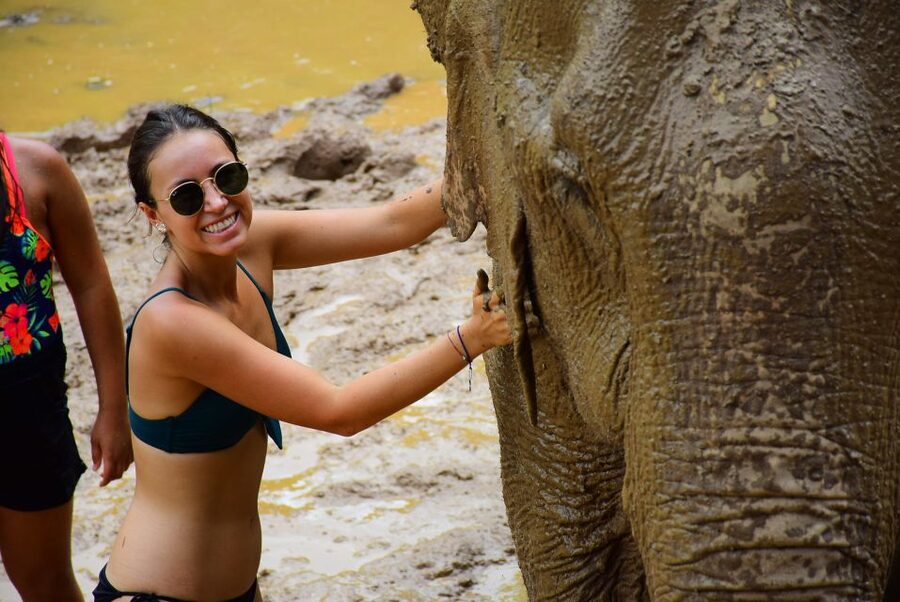 From Chiang Mai: Elephant Care Program and Nursery Tour - Price and Value in the Real World (About $53 for 5–6 Hours)