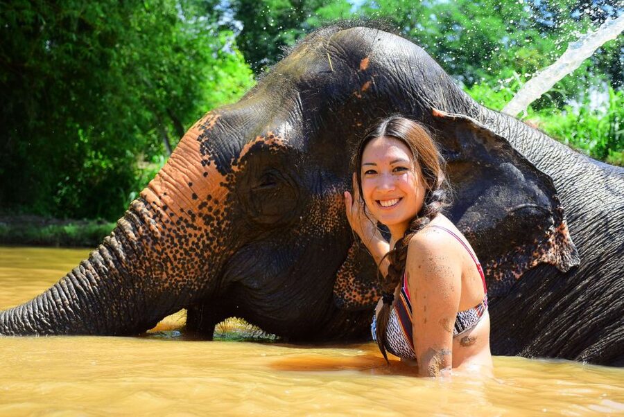 From Chiang Mai: Elephant Care Program and Nursery Tour - FAQ