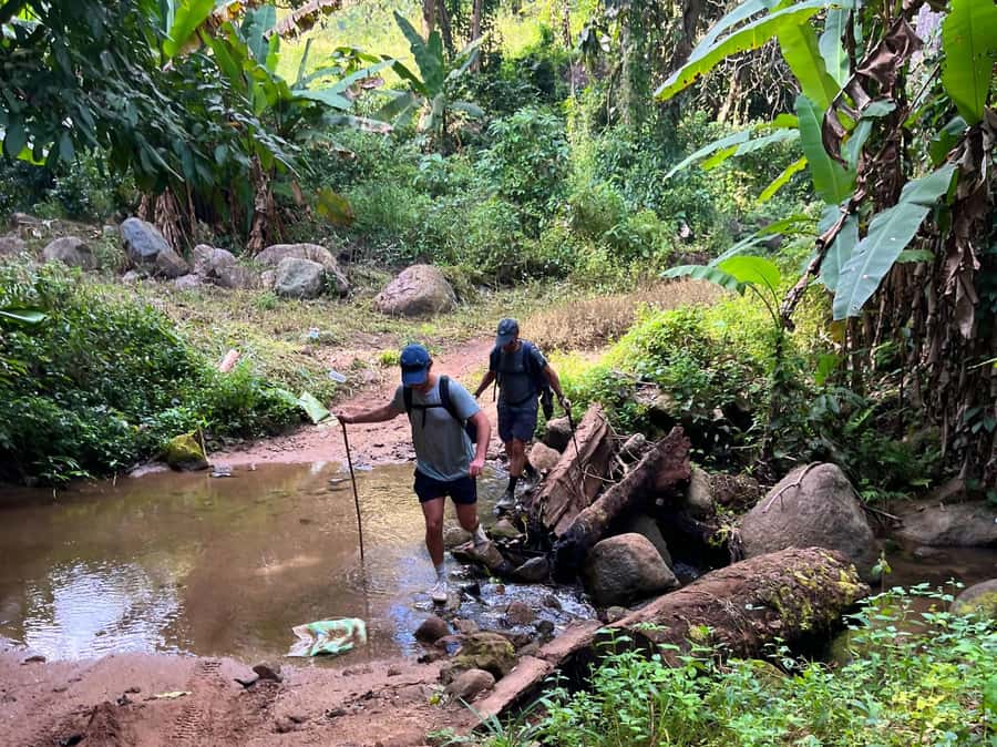 From Chiang Mai: High Mountain Day Trek - Key highlights to look for