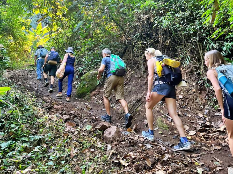 From Chiang Mai: High Mountain Day Trek - From Chiang Mai pickups to the wilds: how the day starts