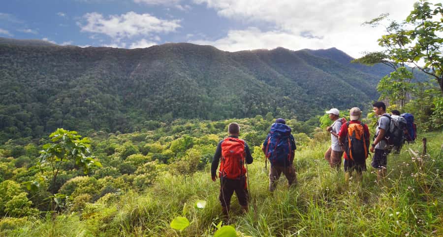 From Chiang Mai: High Mountain Day Trek - Jungle lunch stop: homemade Thai food, fruit, and mountain views