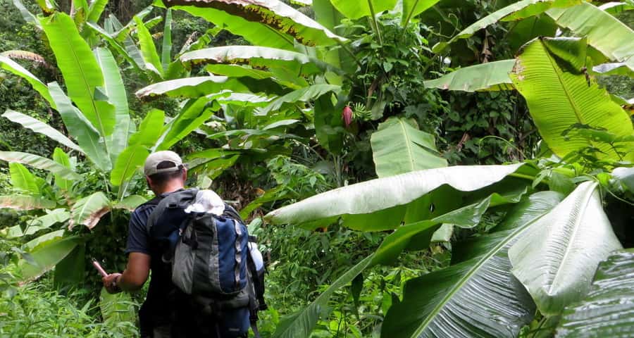 From Chiang Mai: High Mountain Day Trek - Village stroll after lunch: seeing hill-tribe daily life up close