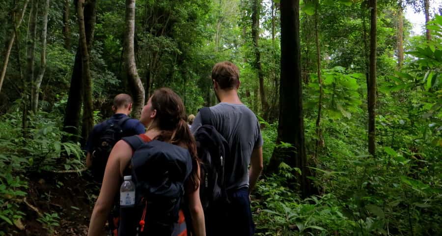 From Chiang Mai: High Mountain Day Trek - Wat Ban Den Temple: a short cultural reset before returning