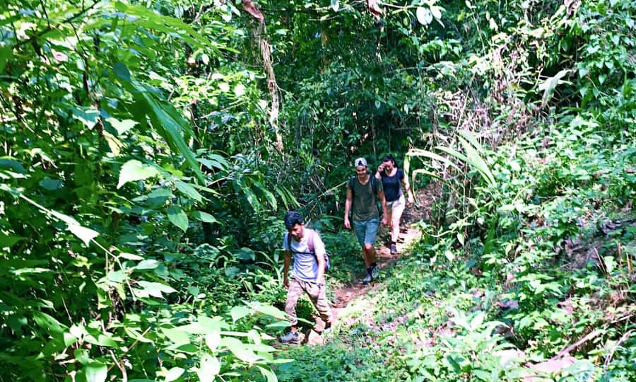 From Chiang Mai: High Mountain Day Trek - Who should book this trek (and who should skip it)