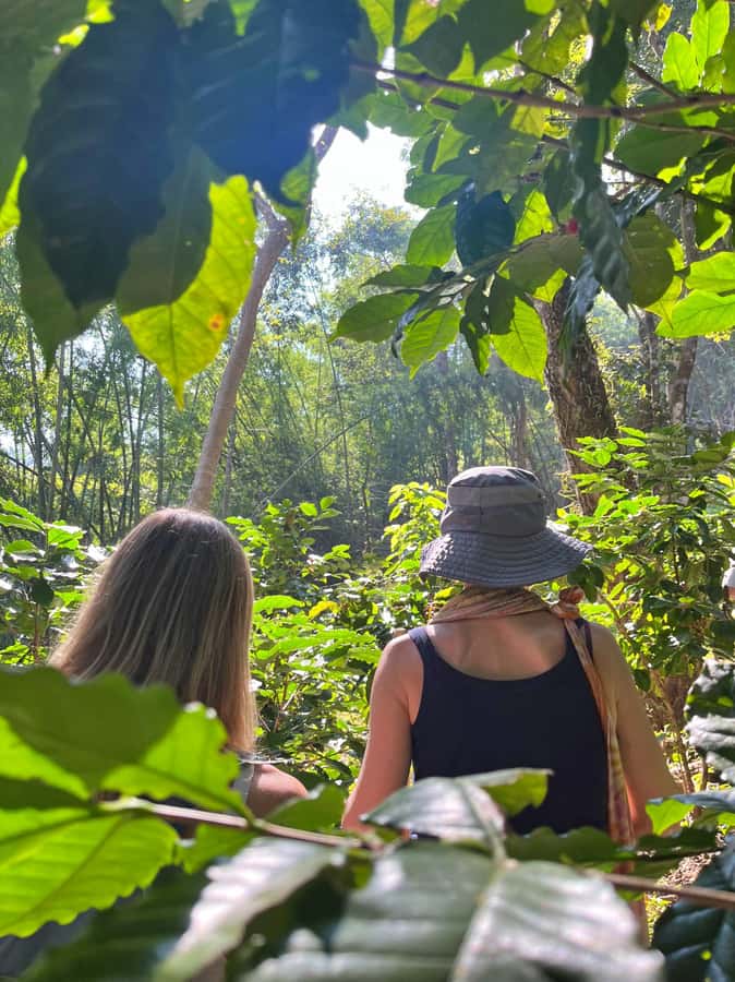 From Chiang Mai: High Mountain Day Trek - What to bring: the jungle basics that actually matter