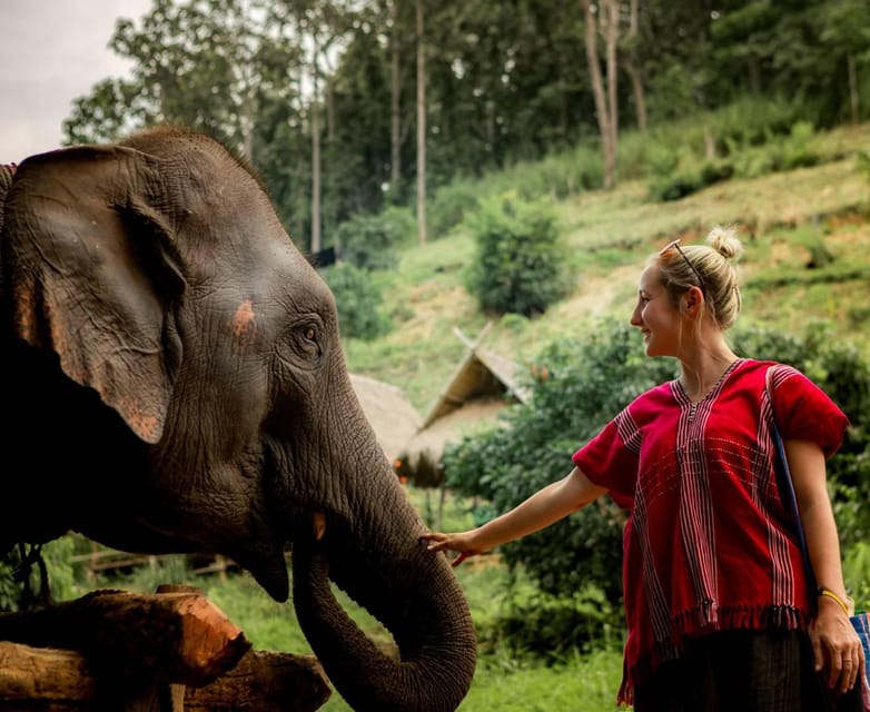 From Chiang Mai: Kerchor Eco Elephant Park Tour - Chiang Mai to Kerchor: the van ride, pickup, and time reality