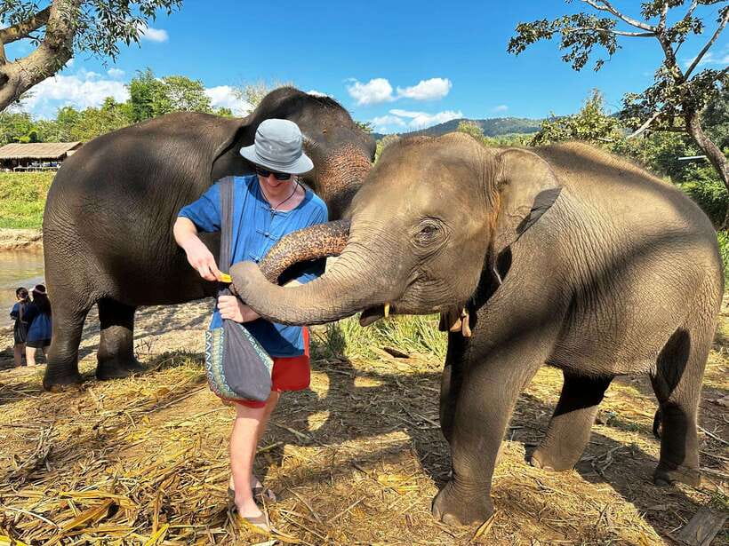 From Chiang Mai: Living Green Elephant Sanctuary Tour - Key things that make this elephant tour worth your time