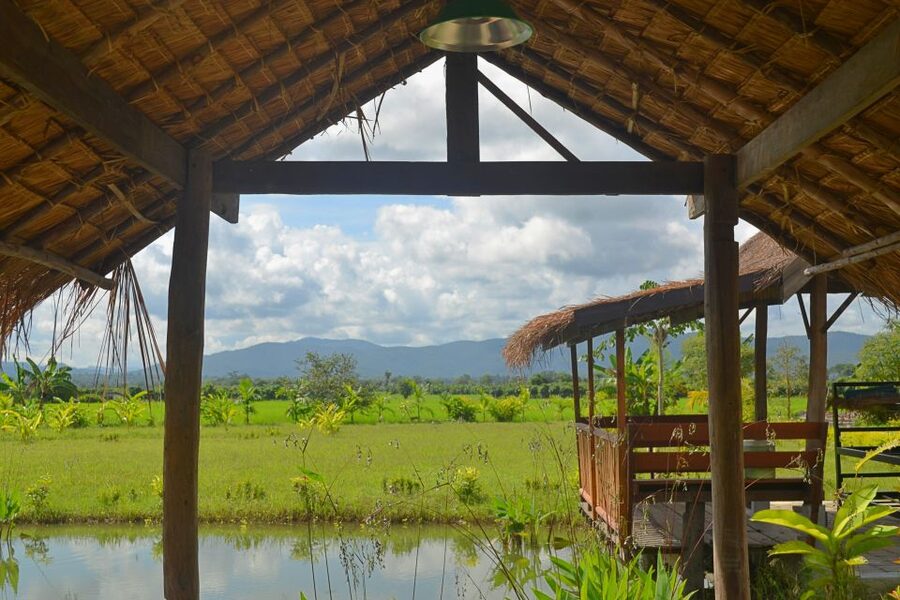 From Chiang Mai: Mae Taeng Valley and Waterfalls Cycle Tour - Mae Taeng Valley by bike: what the day feels like