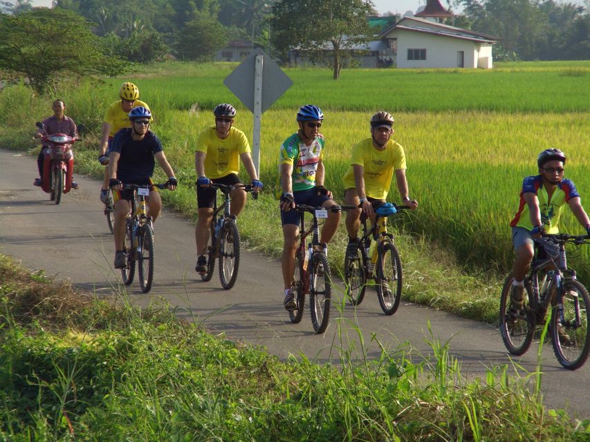 From Chiang Mai: Mae Taeng Valley and Waterfalls Cycle Tour - Bua Thong sticky waterfalls: the swim stop you’ll remember