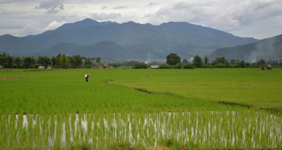 From Chiang Mai: Mae Taeng Valley and Waterfalls Cycle Tour - Small-group dynamics: guide flexibility and pace control