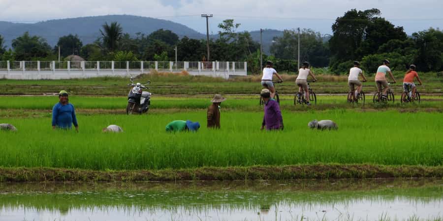 From Chiang Mai: Mae Taeng Valley Hike & Bike Day Trip - Mae Taeng, the practical way: hike trails locals use, then pedal the valley
