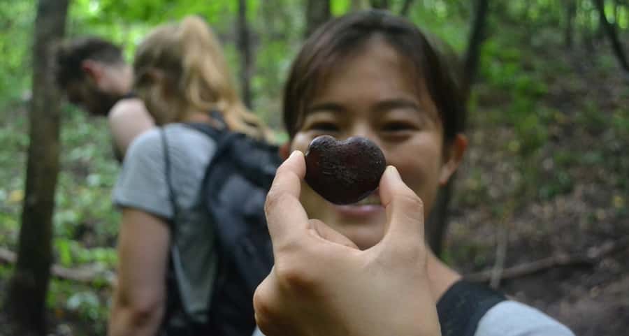 From Chiang Mai: Mae Taeng Valley Hike & Bike Day Trip - The 5-kilometer hill hike: easy to moderate, plan for uneven ground