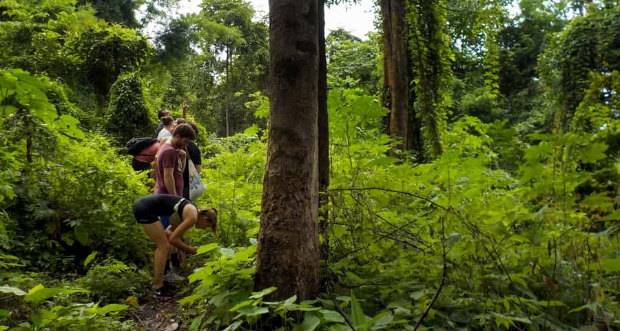 From Chiang Mai: Mae Taeng Valley Hike & Bike Day Trip - Who this day trip suits (and who should think twice)