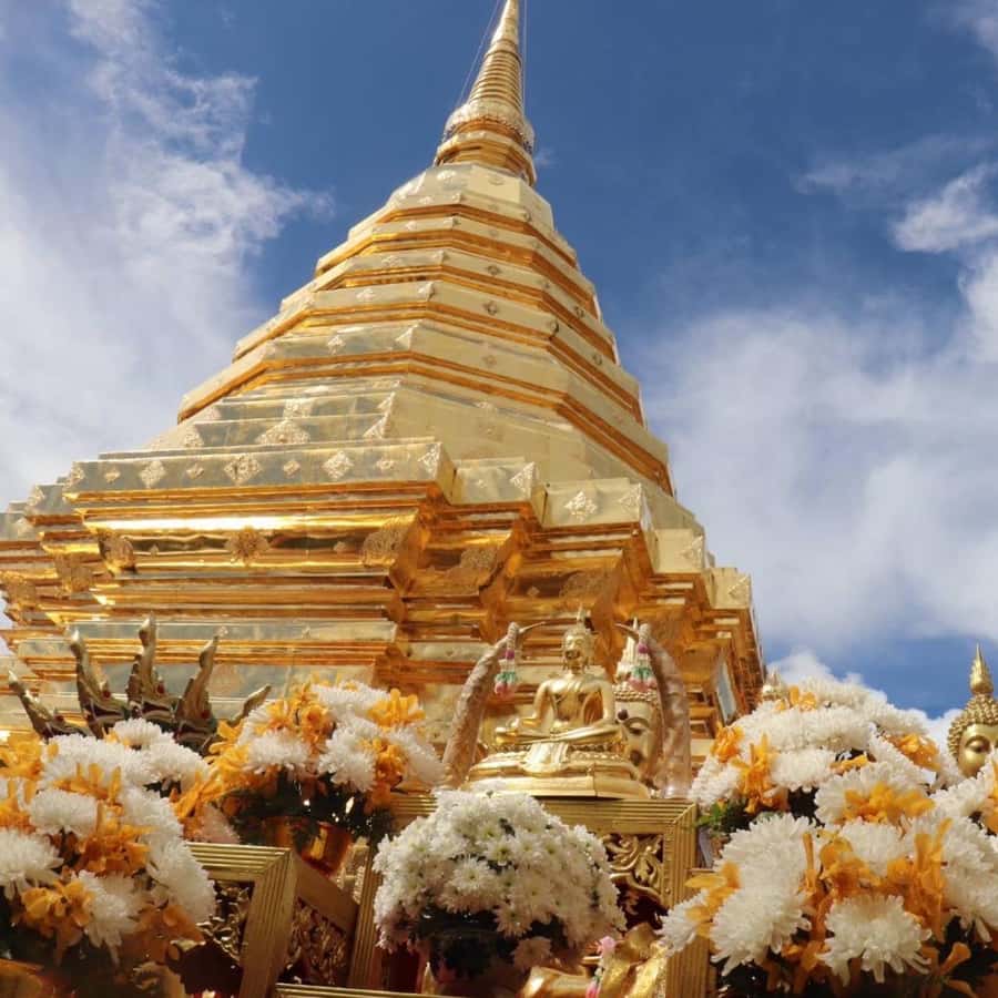 From Chiang Mai: Temples, Sticky Waterfall, and Orchid Farm - Doi Suthep: The Golden Pagoda, the Relic, and the View