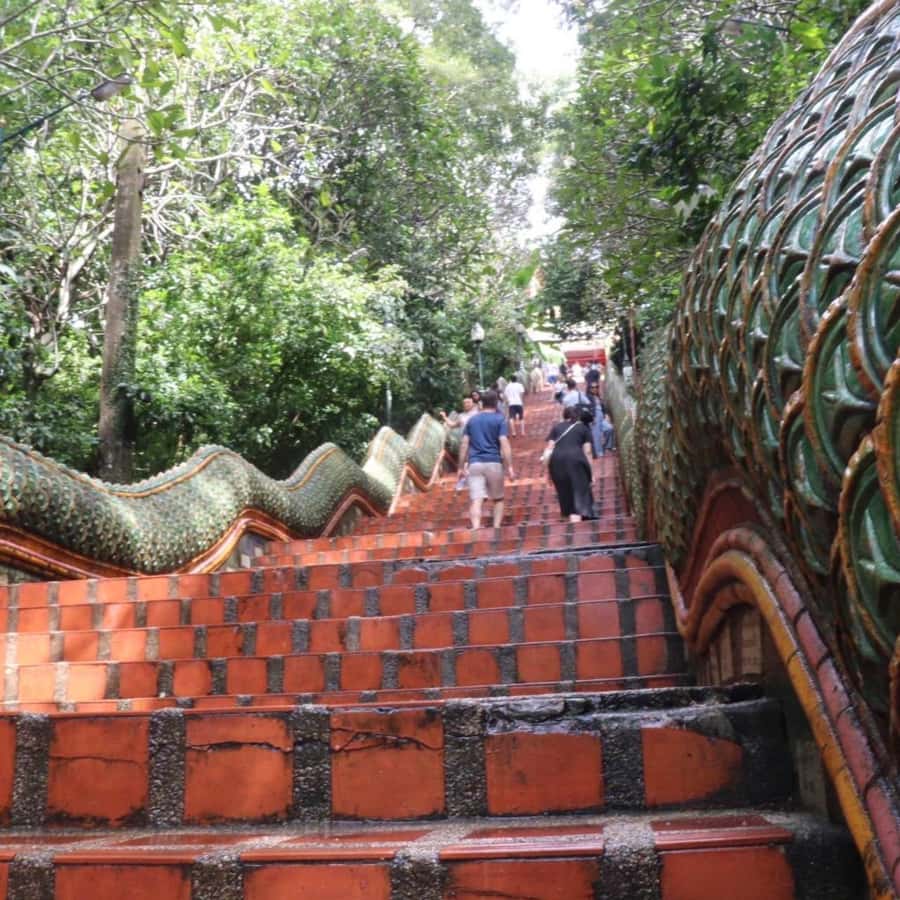 From Chiang Mai: Temples, Sticky Waterfall, and Orchid Farm - Bai Orchid & Butterfly Farm: A Nature Stop That Teaches