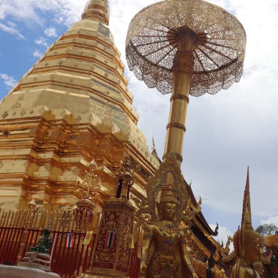 From Chiang Mai: Temples, Sticky Waterfall, and Orchid Farm - Bua Tong Sticky Waterfall: Climb It, Or Just Respect It