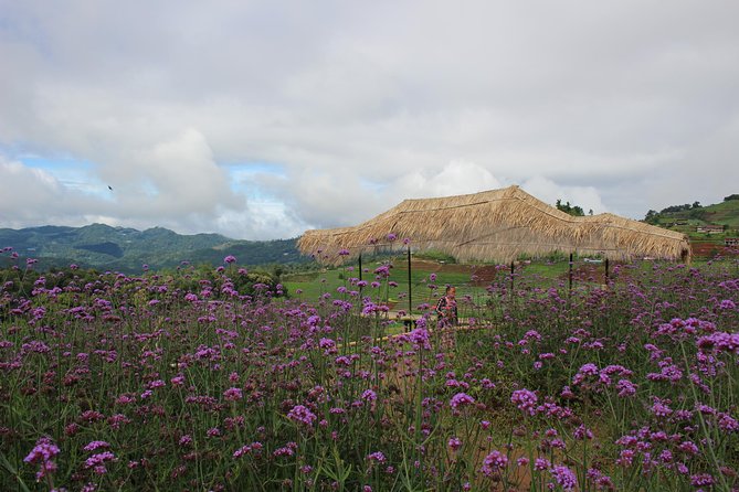 Fruiful Oneday! Trip outskirt of a City from end to end - Key Things to Know Before You Go