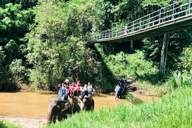 Full Day Car Hire with an English Speaking Driver in Chiang Mai - Elephant sanctuary time: plan for the day’s emotional peak