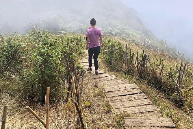 Full Day Car Hire with an English Speaking Driver in Chiang Mai - Doi Inthanon and waterfall stops: when weather changes the plan