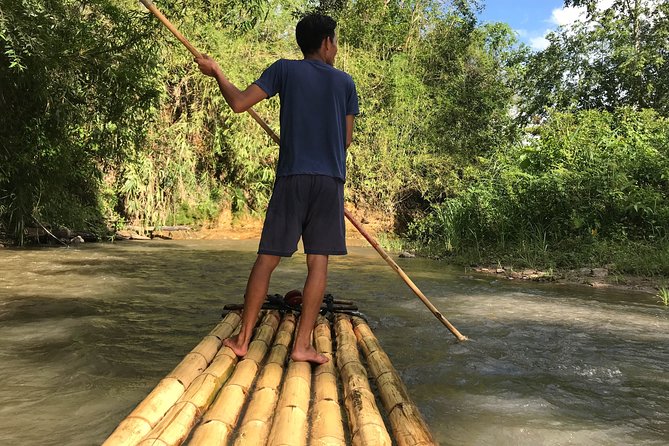 Full Day Chauffeur Driven Tuk Tuk Adventure in Chiang Mai including rafting - Elephant time in Chiang Mai: why it’s more than a photo stop