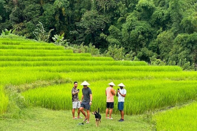 Full-Day Doi Inthanon National Park Tour with Trek and Pagodas - Getting there: pickup, timing, and how the day is paced