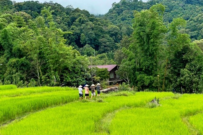 Full-Day Doi Inthanon National Park Tour with Trek and Pagodas - Hmong Market lunch: eat well, then shop like you mean it