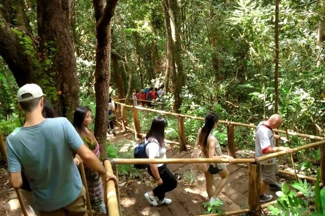 Full-Day Doi Inthanon National Park Tour with Trek and Pagodas - Pha Dok Siew Nature Trail trek: the main walk, the real reward