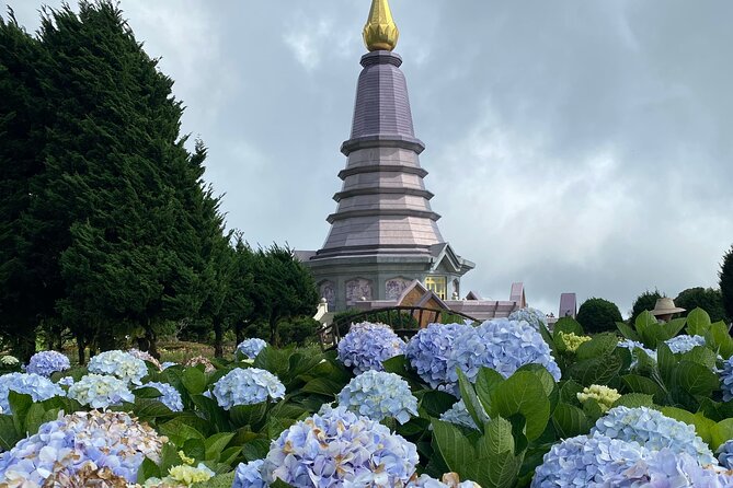 Full-Day Doi Inthanon National Park Tour with Trek and Pagodas - Baan Mae Klang Luang coffee stop: a small break that feels earned