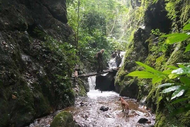 Full Day Doi Saket Hiking Tour - Pickup, meeting point, and how the 8–9 hour day works