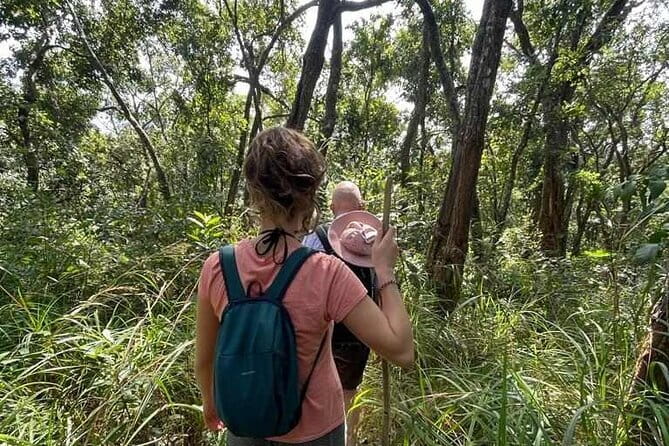 Full Day Doi Saket Hiking Tour - Price and value: why $58.32 can make sense