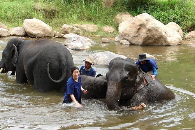 Full Day Elephant Bathing and Bamboo Rafting Tour in Chiang Mai - A Full Day With Real Switching Points: Mae Taman, Taeng River, Mae Wang