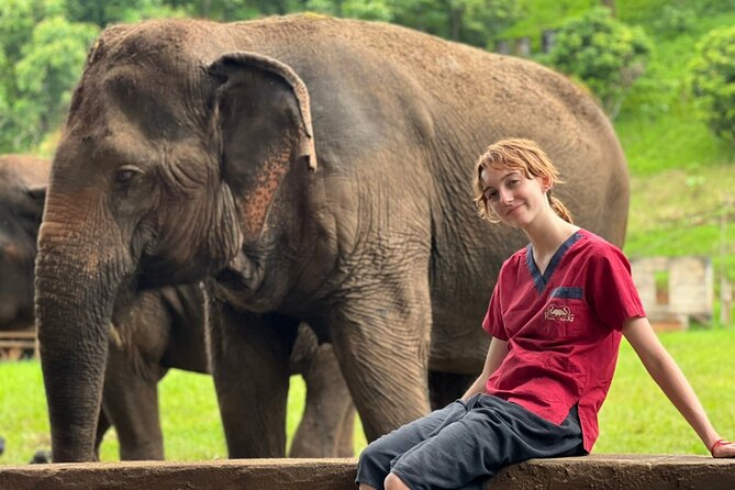 Full Day Experience at Ran-Tong Save & Rescue Elephant Centre - Making elephant vitamins: the care moment that gives the day meaning