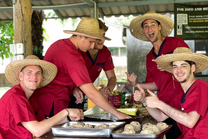 Full Day Experience at Ran-Tong Save & Rescue Elephant Centre - Lunch with Thai food, seasonal fruit, and dietary flexibility