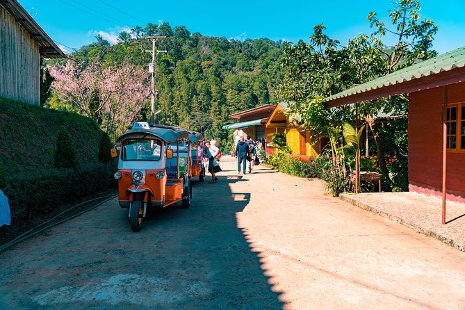 Full-Day Guided Tuk Tuk Chiang Mai Adventure and Rafting - Bamboo rafting downstream: gentle water, real “what now?” fun