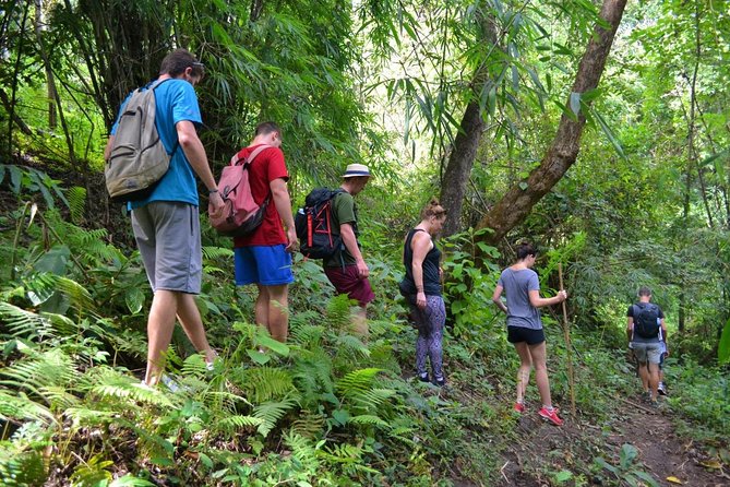 Full-Day Hike and Bike Tour from Chiang Mai - Key moments that make this day worth it