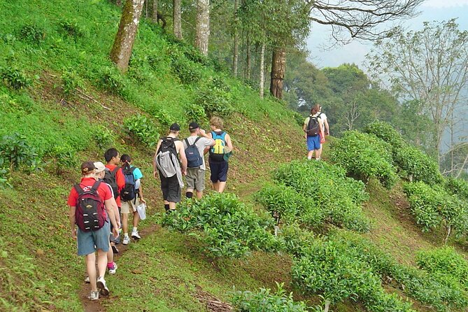 Full-Day Hike and Bike Tour from Chiang Mai - Wat Ban Den: a short temple stop that’s actually included